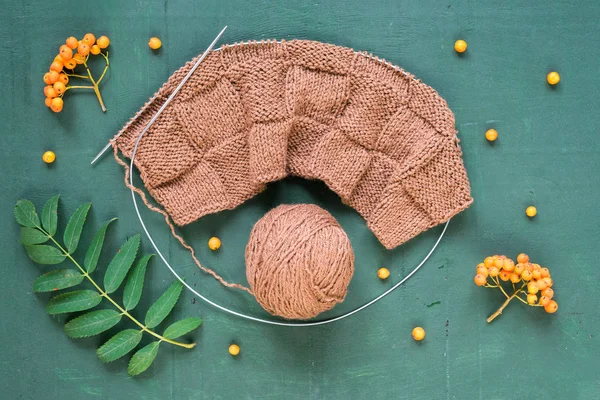 Autumnal knitting with leaves and ashberries — Stock Photo, Image