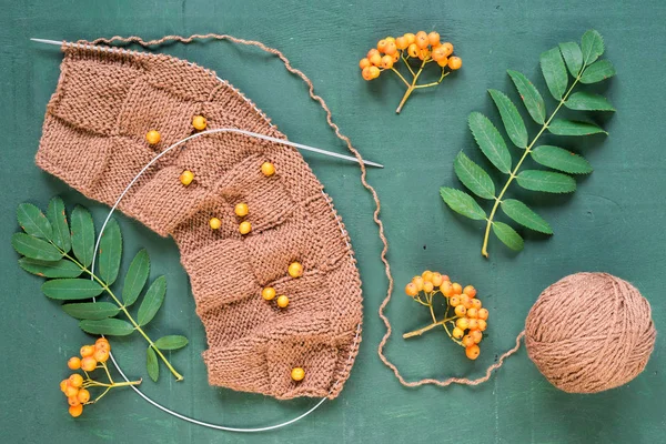 Sonbahar yaprakları ve ashberries ile örgü