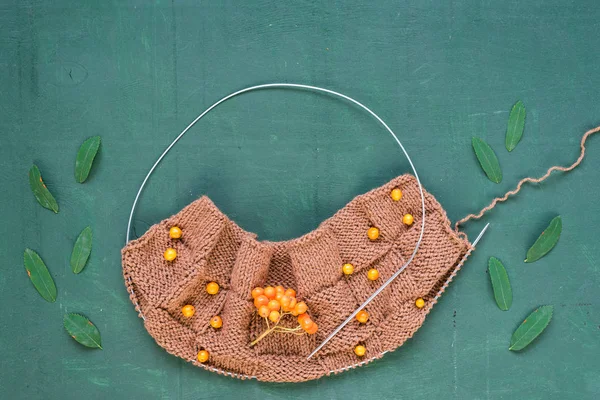 Sonbahar yaprakları ve ashberries ile örgü