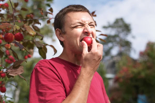 Jovem comendo uma pequena maçã vermelha — Fotografia de Stock