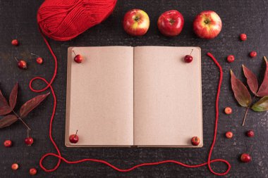 Eski bir boş kitap ile sonbahar kompozisyon