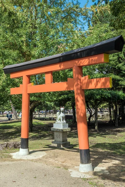 Tori Parku Nara Japonsko — Stock fotografie