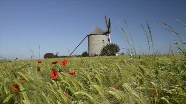 Windmolen op het platteland — Stockvideo