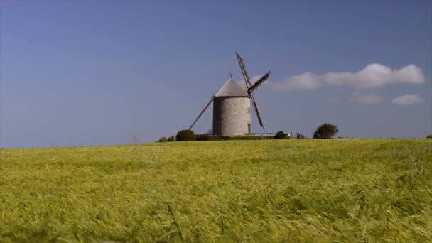 Windmolen op het platteland — Stockvideo