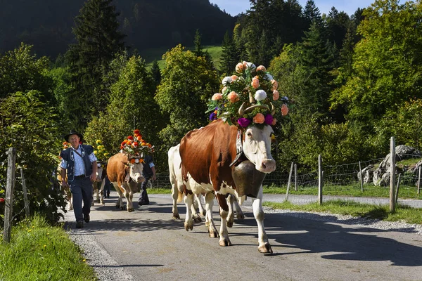 Événement de transhumance à Charmey — Photo