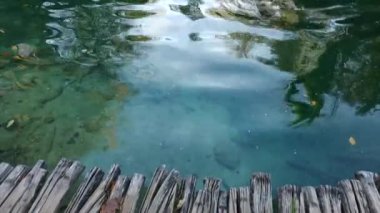 Turkuaz su ve güneşli kirişler Plitvice Gölleri Milli Parkı görkemli manzara. Hırvatistan. Avrupa. Güzellik dünya.