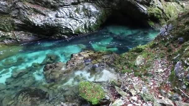 Agua Turquesa Famosas Cascadas Vintgar Eslovenia Europa — Vídeo de stock