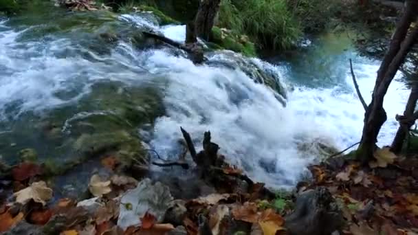 Cascada Lago Plitvice Parque Nacional Hermoso Lugar Croacia — Vídeo de stock