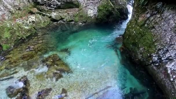 Agua Turquesa Famosas Cascadas Vintgar Eslovenia Europa — Vídeo de stock