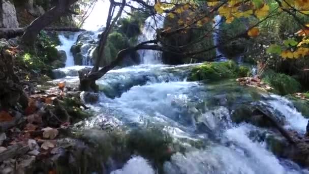Wodospad Jeziora Plitwickie Park Narodowy Piękne Miejsce Chorwacji — Wideo stockowe