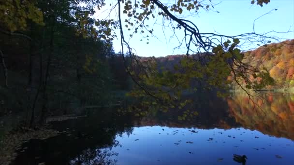 Καταρράκτη Και Λίμνη Plitvice Εθνικό Πάρκο Όμορφο Μέρος Στην Κροατία — Αρχείο Βίντεο