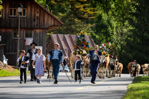Transhumance event in Charmey — Stock Photo, Image