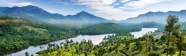 Colinas e tee plantações em Kerala — Fotografia de Stock