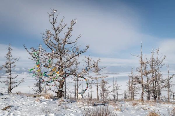 The Buddhist pray of Enlightenment in winter in sunny day at Ogoy Island, Baikal Lake , Russia