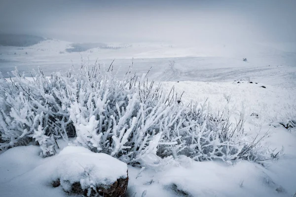 Paisagem Siberiana Por Inverno Perto Lago Baikal Rússia — Fotografia de Stock