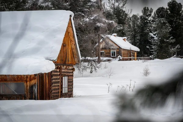 Maison Traditionnelle Sibérienne Dans Réserve Davsha Près Rivière Davsha Célèbre — Photo