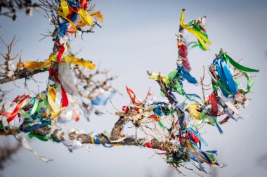 Budist Aydınlanma duası kışın güneşli bir günde Rusya 'nın Baykal Gölü, Ogoy Adası' nda