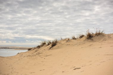 Arcachon Bay görünümünü