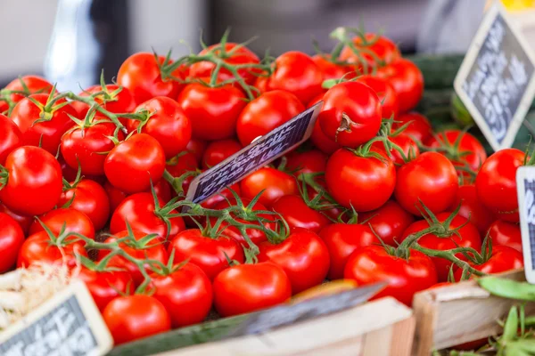 Natural tomatoes on farmer's market — Stock Photo, Image