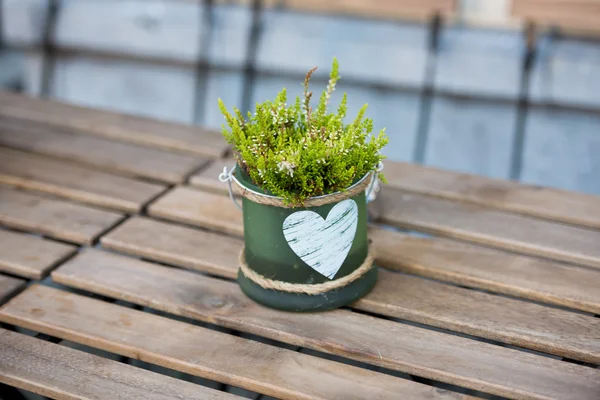 Panela verde com flor e coração — Fotografia de Stock