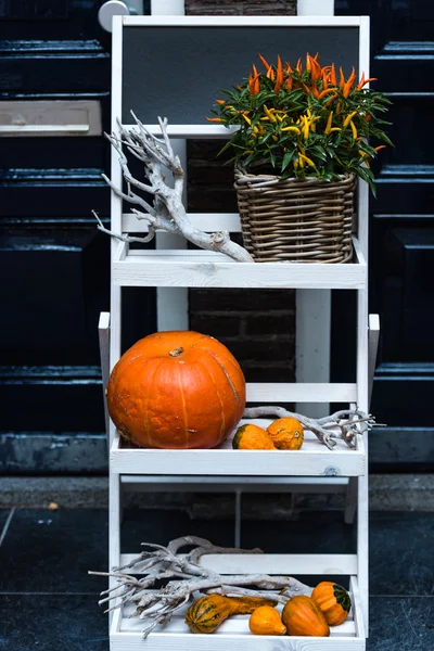 Citrouilles orange comme décoration — Photo