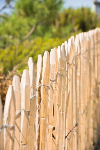 Деревянный забор на Атлантическом пляже — стоковое фото