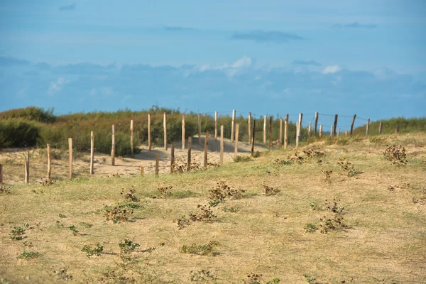 Valla de madera en la playa del Atlántico —  Fotos de Stock