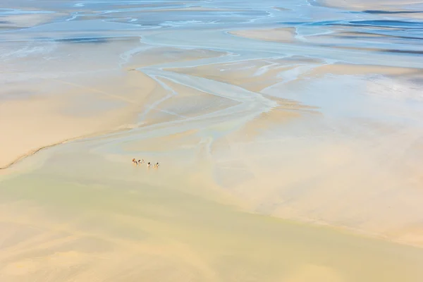 Widok z murów Mont Saint Michel — Zdjęcie stockowe