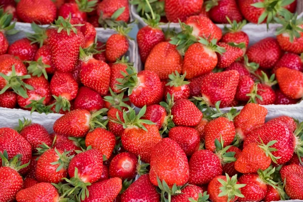 Natürliche Bio-Erdbeeren — Stockfoto
