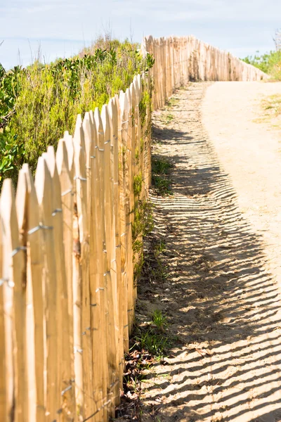 Recinzione in legno sulla spiaggia atlantica — Foto Stock