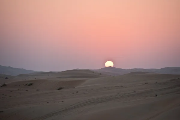 Desert dunes i Liwa — Stockfoto