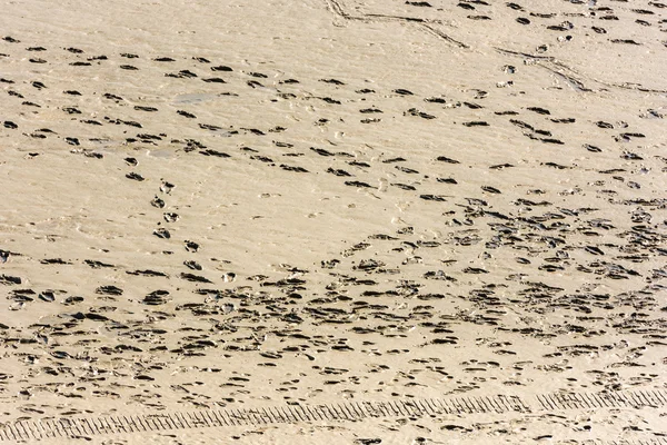 Menselijke voetafdrukken op zand — Stockfoto