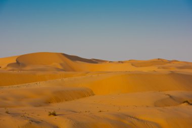 Çöl dunes Liwa içinde