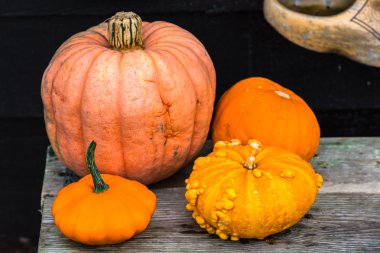 Market turuncu kabak