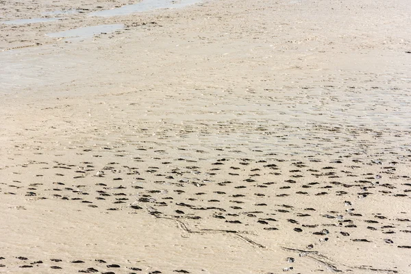 Menschliche Fußabdrücke im Sand — Stockfoto