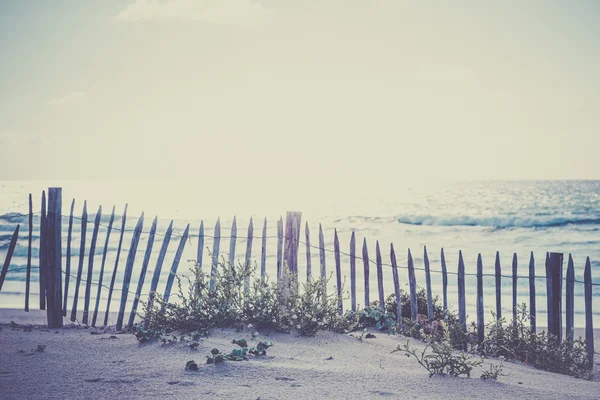 Clôture en bois à la plage Atlantique — Photo