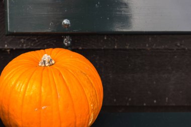 Ahşap bir bankta turuncu kabak.