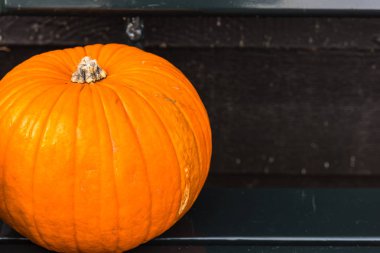 Ahşap bir bankta turuncu kabak.