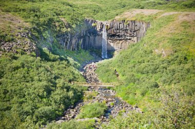 İzlanda'daki svartifoss şelale