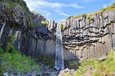 İzlanda'daki svartifoss şelale