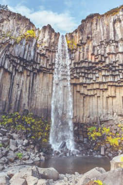 İzlanda'daki svartifoss şelale