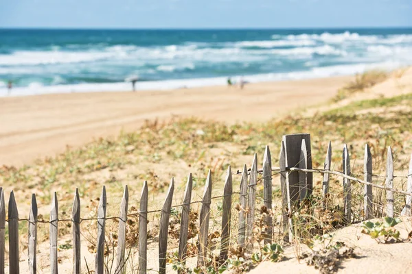 Wooden fence on Atlantic beach — Stock Photo, Image