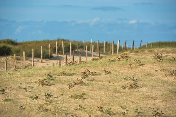 Valla de madera en la playa del Atlántico —  Fotos de Stock