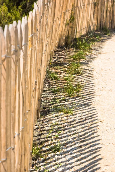 Wooden fence on Atlantic beach — Stock Photo, Image