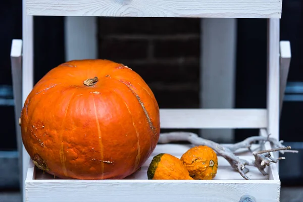 Abóboras laranja como uma decoração . — Fotografia de Stock