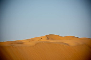 Çöl dunes Liwa içinde