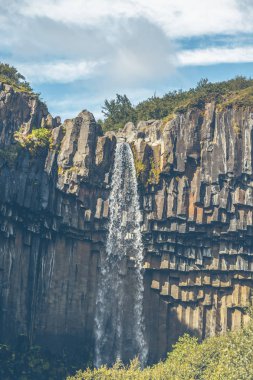 İzlanda'daki svartifoss şelale
