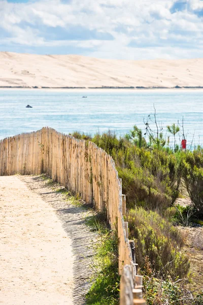 Valla de madera en la playa atlántica de Francia —  Fotos de Stock