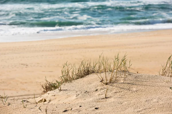 Písečná pláž povodí Arcachon — Stock fotografie