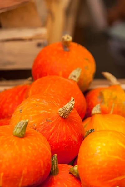 Orangene Kürbisse auf einem Markt — Stockfoto